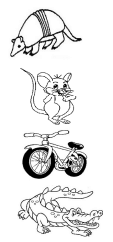 tatu-rato-bicicleta-jacaré