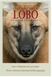 Lobo -