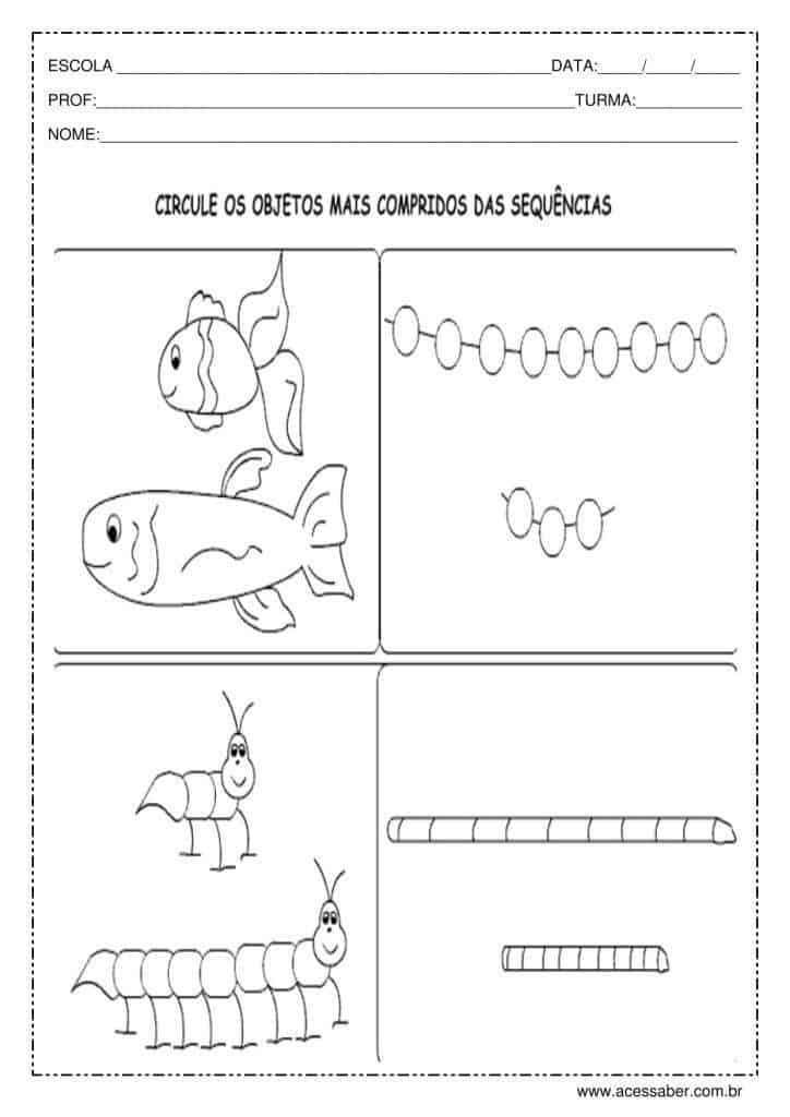 Atividade de percepção visual: Curto ou comprido - Acessaber