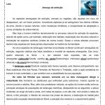 Interpretação de texto: Ameaça de extinção – Tartarugas marinhas – 9º ano