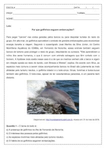 Interpretação de texto: Por que os golfinhos seguem embarcações - 1º ano do ensino médio