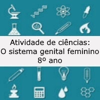 O sistema genital feminino – 8º ano O sistema genital feminino - 8º ano