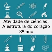 A estrutura do coração – 8º ano A estrutura do coração - 8º ano