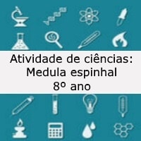 Medula espinhal – 8º ano Medula espinhal - 8º ano