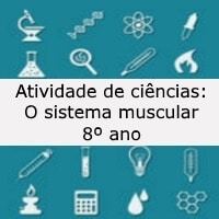 O sistema muscular – 8º ano O sistema muscular - 8º ano