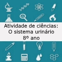 O sistema urinário – 8º ano O sistema urinário - 8º ano