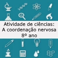 A coordenação nervosa – 8º ano