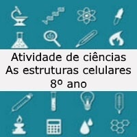 as estruturas celulares – 8º ano as estruturas celulares - 8º ano
