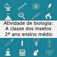 A classe dos insetos A classe dos insetos