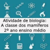 A classe mamíferos A classe mamíferos