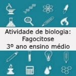 Atividade de biologia: Fagocitose – 3º ano ensino médio