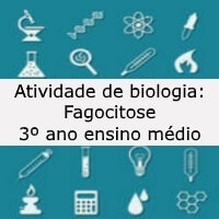 fagocitose – 3º ano fagocitose - 3º ano