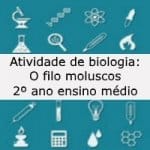 Atividade de biologia: O filo moluscos – 2º ano ensino médio
