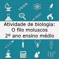 O filo moluscos – 2º ano ensino médio O filo moluscos - 2º ano ensino médio