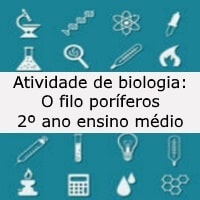 o filo poriferos – 2º ano – bio o filo poriferos - 2º ano - bio