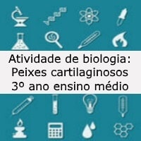 peixes cartilaginosos – 3º ano peixes cartilaginosos - 3º ano
