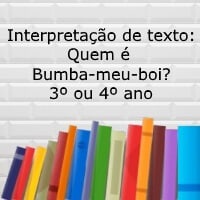 quem é bumba-meu-boi – 3º ou 4º ano quem é bumba-meu-boi - 3º ou 4º ano