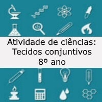 tecidos conjuntivos – 8º ano tecidos conjuntivos - 8º ano