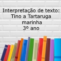 tino a tartaruga marinha – 3º ano – tino a tartaruga marinha - 3º ano -