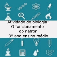 o funcionamento do nefron – bio – 3 ano o funcionamento do nefron - bio - 3 ano