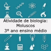 Atividade de biologia Moluscos – 3º ano ensino médio
