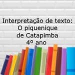 Interpretação de texto: O piquenique de Catapimba – 4º ano