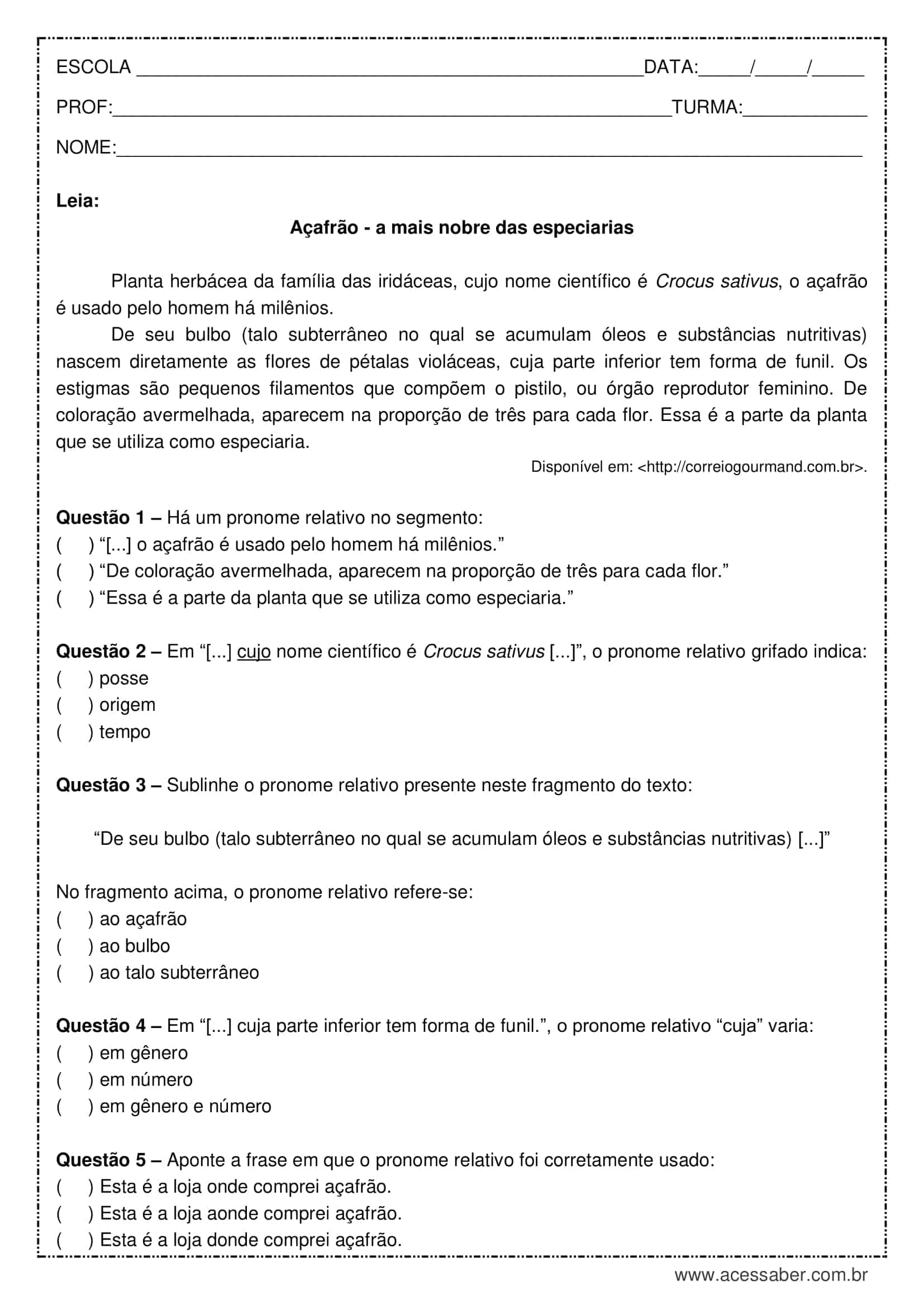 Atividade de português: Pronomes relativos - 8º anos - Acessaber