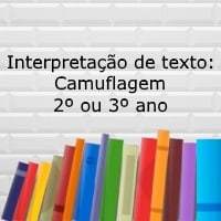 Interpretação de texto: Camuflagem - 2º ou 3º ano