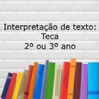 Interpretação de texto Teca – 2º ou 3º ano