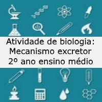 Atividade de biologia Mecanismo excretor – 2º ano ensino médio Atividade de biologia: Mecanismo excretor - 2º ano ensino médio