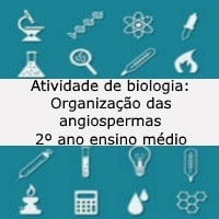 Atividade de biologia: Organização das angiospermas - 2º ano ensino médio