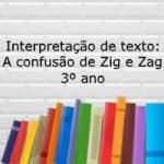 Interpretação de texto: A confusão de Zig e Zag – 3º ano