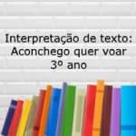 Interpretação de texto: Aconchego quer voar – 3º ano