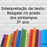 Interpretação de texto Resgate no prado dos pirilampos – 3º ano Interpretação de texto: Resgate no prado dos pirilampos - 3º ano