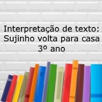 Interpretação de texto Sujinho volta para casa – 3º ano Interpretação de texto: Sujinho volta para casa - 3º ano
