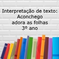 Interpretação de texto: Aconchego adora as folhas - 3º ano