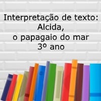 Interpretação de texto: Alcida, o papagaio do mar - 3º ano