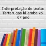 Interpretação de texto: Tartarugas lá embaixo – 6º ano