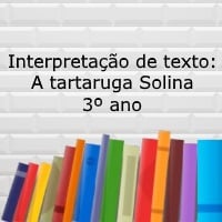 Interpretação de texto: A tartaruga Solina - 3º ano
