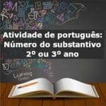 Atividade de português: Número dos substantivos – 2º ou 3º ano