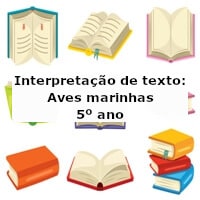 Interpretação de texto: Aves marinhas – 5º ano