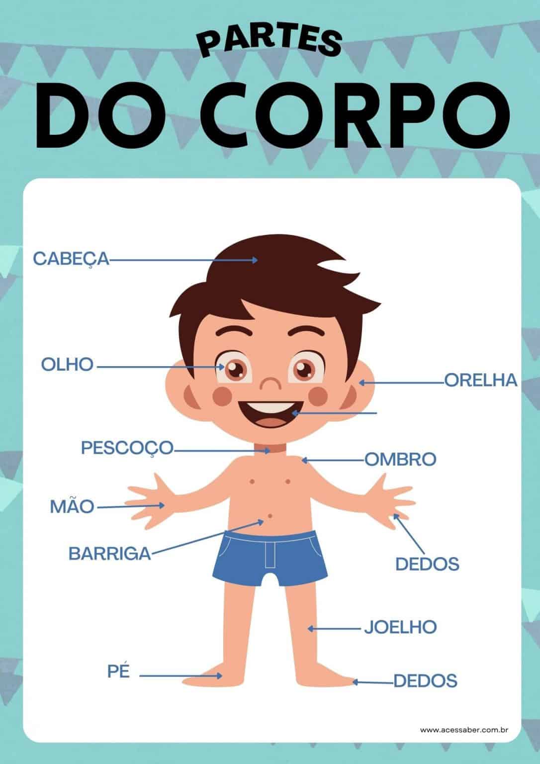 Atividade De Ciências: As Partes Do Corpo - Ed. Infantil E 1º Ano ...