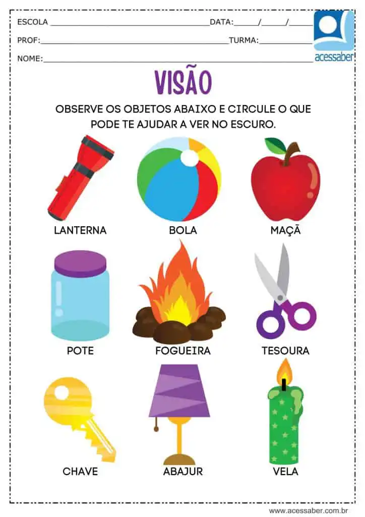 atividade marque os objetos que auxiliam a visão