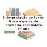 Interpretação de texto: Nova espécie de bromélia-escaladora – 5º ano