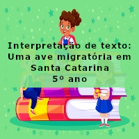 Uma ave migratória em Santa Catarina