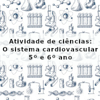 o sistema cardiovascular