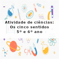 os cinco sentidos