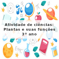 Atividade de ciencias – Plantas e suas funcoes – 3 ano