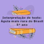 Interpretação de texto: Águia mais rara do Brasil – 5º ano